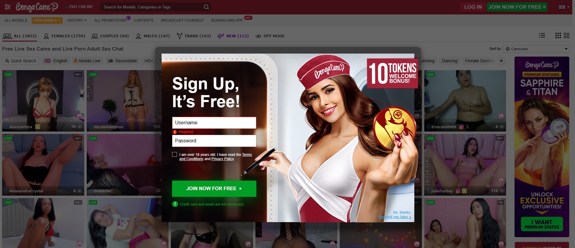 BongaCams - Best value live cams at $0.90/minute BongaCams affordable live cam platform screenshot - HD streaming at $0.90 per minute with 2000+ models, free chat rooms, and budget-friendly token packages for quality entertainment